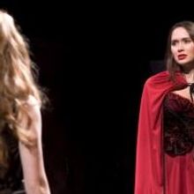 BWW Reviews: The Washington Rogues Create a Modern, Bloody Twist to a Classic Fairy T