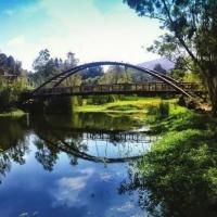 San Jose Heats Up With Exciting Summer Events: Enjoy Cool Festivals, Performing…