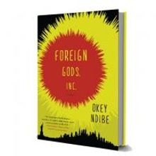 Okey Ndibe Releases New Book FOREIGN GODS, INC.