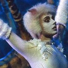 CATS Coming to Sydney's Capitol Theatre, Beginning 10/30