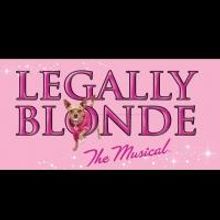 LEGALLY BLONDE THE MUSICAL Plays Diamond Head Theatre, Now thru 8/4