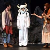 Calling All Milky Whites! Celebrating Everyone's Favorite INTO THE WOODS Cow