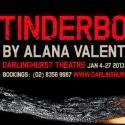 Photo Flash: Meet the Cast of Valentine's TINDERBOX, Beginning Tonight