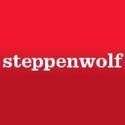 Steppenwolf Announces Public Square Event With Sudhir Venkatesh, 11/4