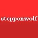 Steppenwolf Hosts Public Square Event With Sudhir Venkatesh Today, 11/4