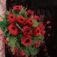 Opera Immediat Presents LUCIA DI LAMMERMOOR This Weekend