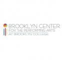 Brooklyn Center for the Performing Arts Presents THE LITTLE PRINCE, 1/27