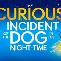 West End-Hit 'THE CURIOUS INCIDENT of the Dog in the Night-Time' am Donnerstag in…