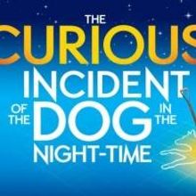 West End-Hit 'THE CURIOUS INCIDENT of the Dog in the Night-Time' am Donnerstag in deu