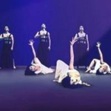 BWW Reviews: FRIDA THE MUSICAL Is Experimental And Artistic At The McCallum Theatre -