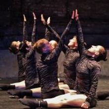BWW Reviews: Roschman Dance and DoubleTake Dance Present: ARRIVAL