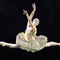 ABT's 2013 Spring Season Begins at the Met Opera House Tonight