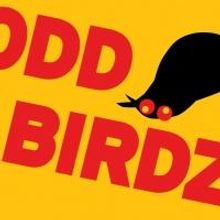 BWW Reviews: Tziporela's ODD BIRDZ is Hysterical Sketch Comedy