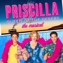 PRISCILLA QUEEN OF THE DESERT Comes to the Orpheum, January 8-13
