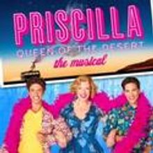 PRISCILLA QUEEN OF THE DESERT Comes to the Orpheum, January 8-13