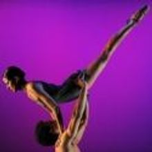 SENSEDANCE Adds New Performances For Hurricane Sandy Canceled Shows, 1/19 - 1/20