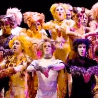 Photo Flash: First Look at Theatre by the Sea's CATS, Now Through 7/13