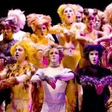 Photo Flash: First Look at Theatre by the Sea's CATS, Now Through 7/13