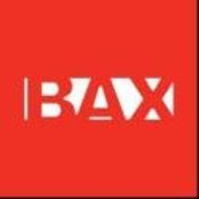 Brooklyn Arts Exchange Announces 2013 BAX Arts & Artists in Progress Award Nominees