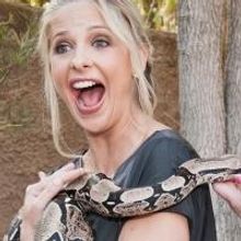 LA Zoo's BEASTLY BALL to Honor TOMS' Heather Mycoskie and Ken Ziffren, 6/14