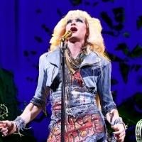 Neil Patrick Harris Did Not Curse Fan at HEDWIG AND THE ANGRY INCH