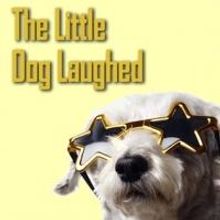 THE LITTLE DOG LAUGHED Plays Silver Spring Stage, Now thru 6/8