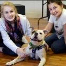 Penobscot Theatre Company Presents ANNIE, Now thru Dec 29