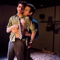 Sanguine Theatre Offers Talkback After Performance of WILD Tonight