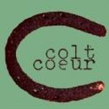 Jesse Weaver's WE SHALL CATCH LARKS Gets Reading by Colt Coeur at CoCo Studio, 11/12