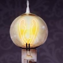 Wirtz Center Presents 'IN THE NEXT ROOM,' Now thru 5/24