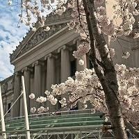 Brooklyn Museum Receives $5 Million Gift from Leon Levy Foundation