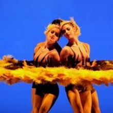 Marin Center to Present MOMIX-BOTANICA, 10/25