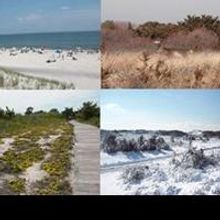 Long Island's Summer Arts and Crafts Fairs Features Books Today