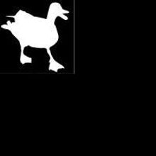 Bitingduck Press and Boson Books Celebrate One Year Merger