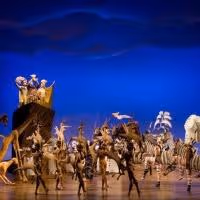 THE LION KING to Celebrate 16th Anniversary on Broadway, Nov 13