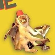 BWW Reviews: NYU Steinhardt Presents THE DROWSY CHAPERONE