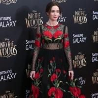 Photo Coverage: All of the INTO THE WOODS Red Carpet Fashions!