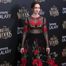 Photo Coverage: All of the INTO THE WOODS Red Carpet Fashions!