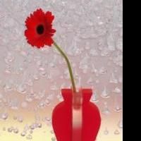 Mary Boone Wellington Releases HOPE I DON'T DIE BEFORE I GET OLD