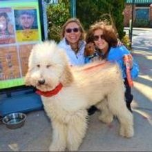 Photo Flash: Boat Rides, Dog Walks and More at Bay Street Theatre's 2nd Annual Steinb