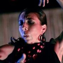 Forever Flamenco! Celebrates the Holidays with Caminos Flamencos in FIESTA NAVIDAD…