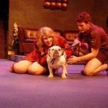 Newman University Reverses Censorship Decision for LEGALLY BLONDE Production