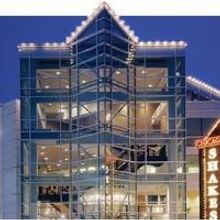 Chicago Shakespeare Theater Announces 2014/15 World's Stage Series