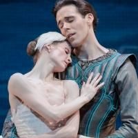 BWW Reviews: Houston Ballet's SWAN LAKE is Beautiful Photo