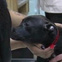 VIDEO: FDA Issues New Warning About Deadly Treats from China