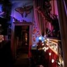 The Butterfly Club's Final Gala Countdown Set for Tonight