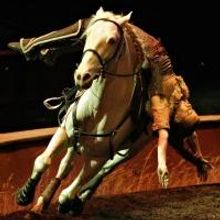 ODYSSEO by Cavalia Returning to Toronto this Spring