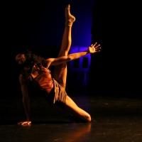BWW Reviews: FrenetiCore's DANCING WITH THE MACHINE is Powerfully Captivating Photo