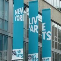Ellen Robbins, ZviDance and More Headline New York Live Arts' 2014 THEATER ACCESS…