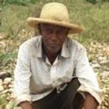 Timberland Helps Haiti Plant 2 Million Trees, and Counting
